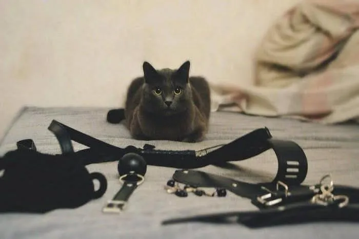 Delta OnlyFans header