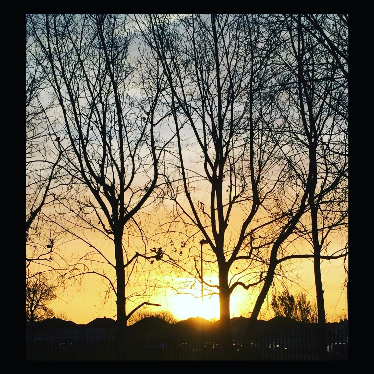 RevolutionBlues OnlyFans header