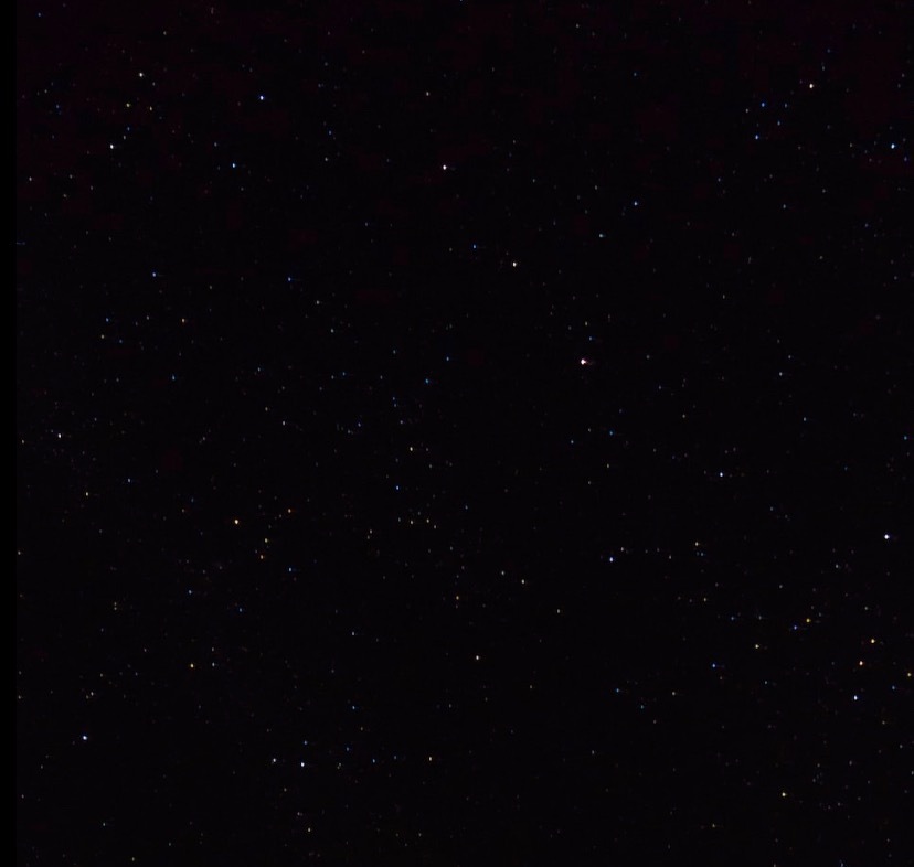 Rose🌹 OnlyFans header