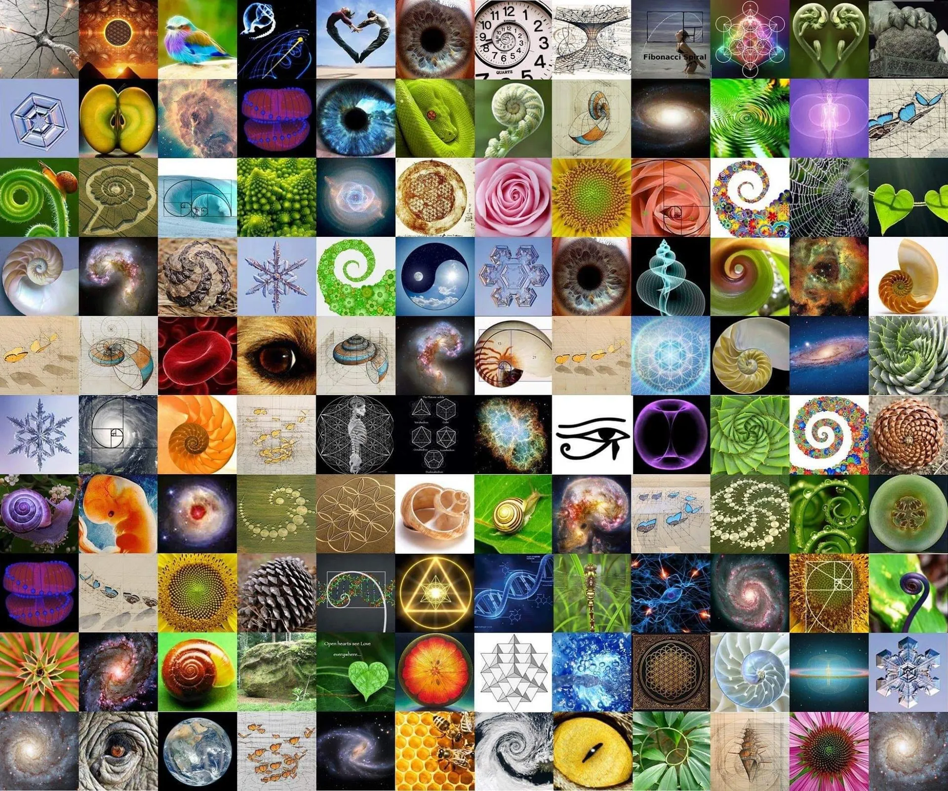 Sami Parker OnlyFans header