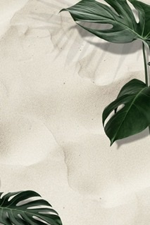 SAMY OnlyFans header