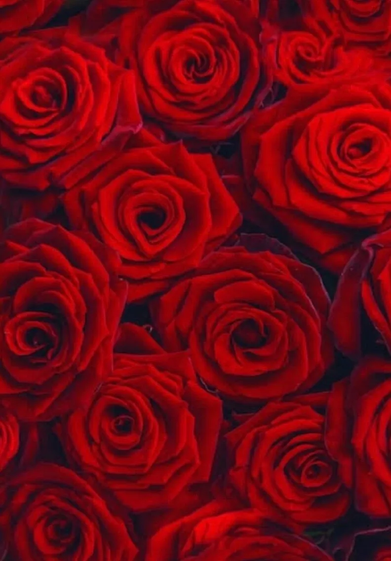 𝑩𝒂𝒃𝒚 𝑺𝒂𝒓𝒂𝒉 𝒓𝒆𝒂𝒍 🌹💋 OnlyFans header