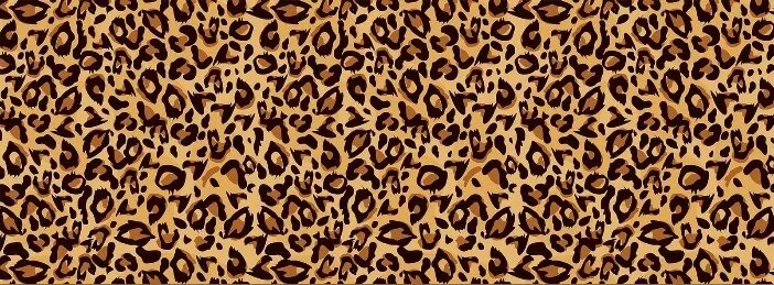 Savannah-Jade🍒 OnlyFans header