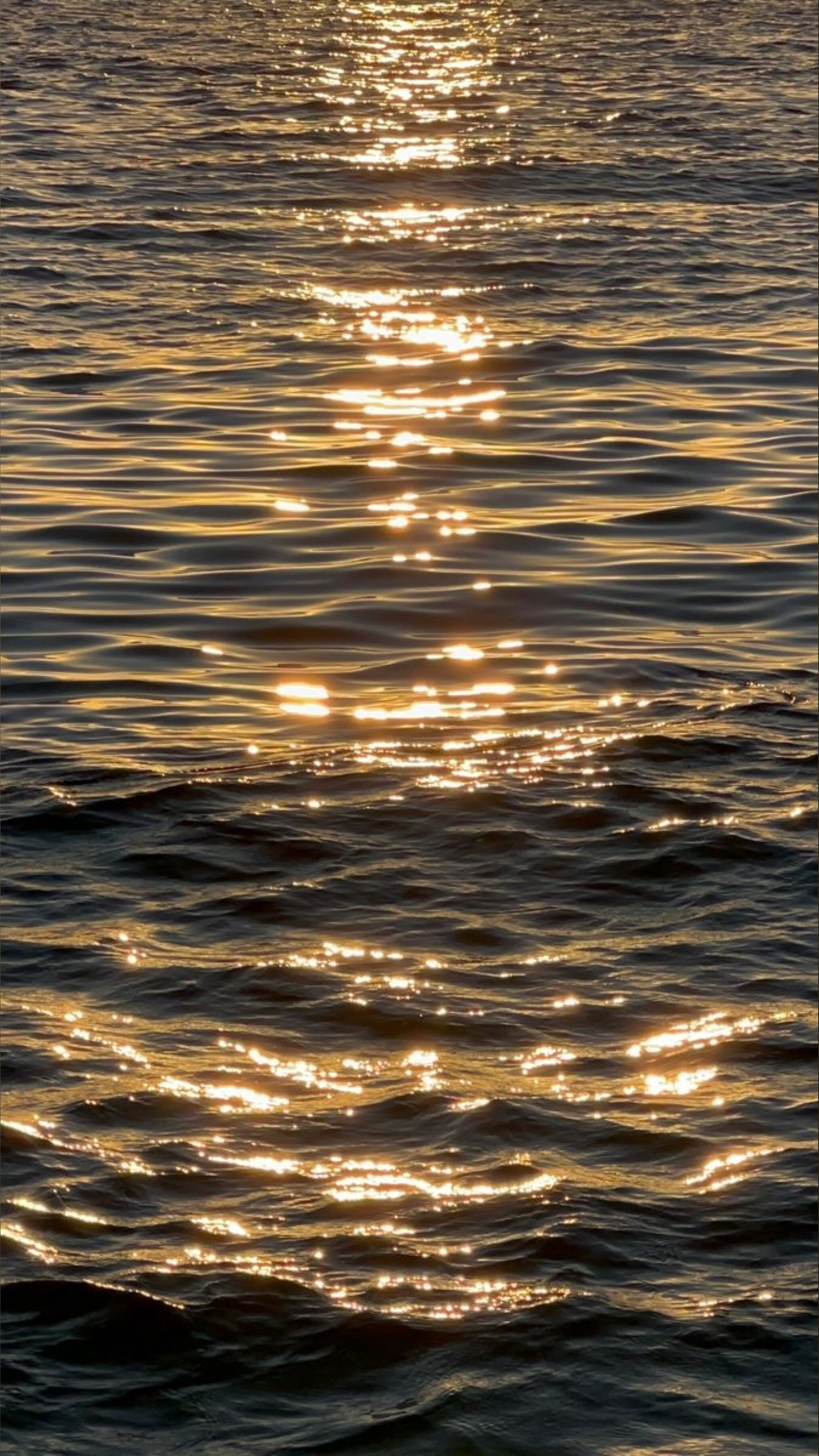 SawasdeeLydia🙏🏼 OnlyFans header