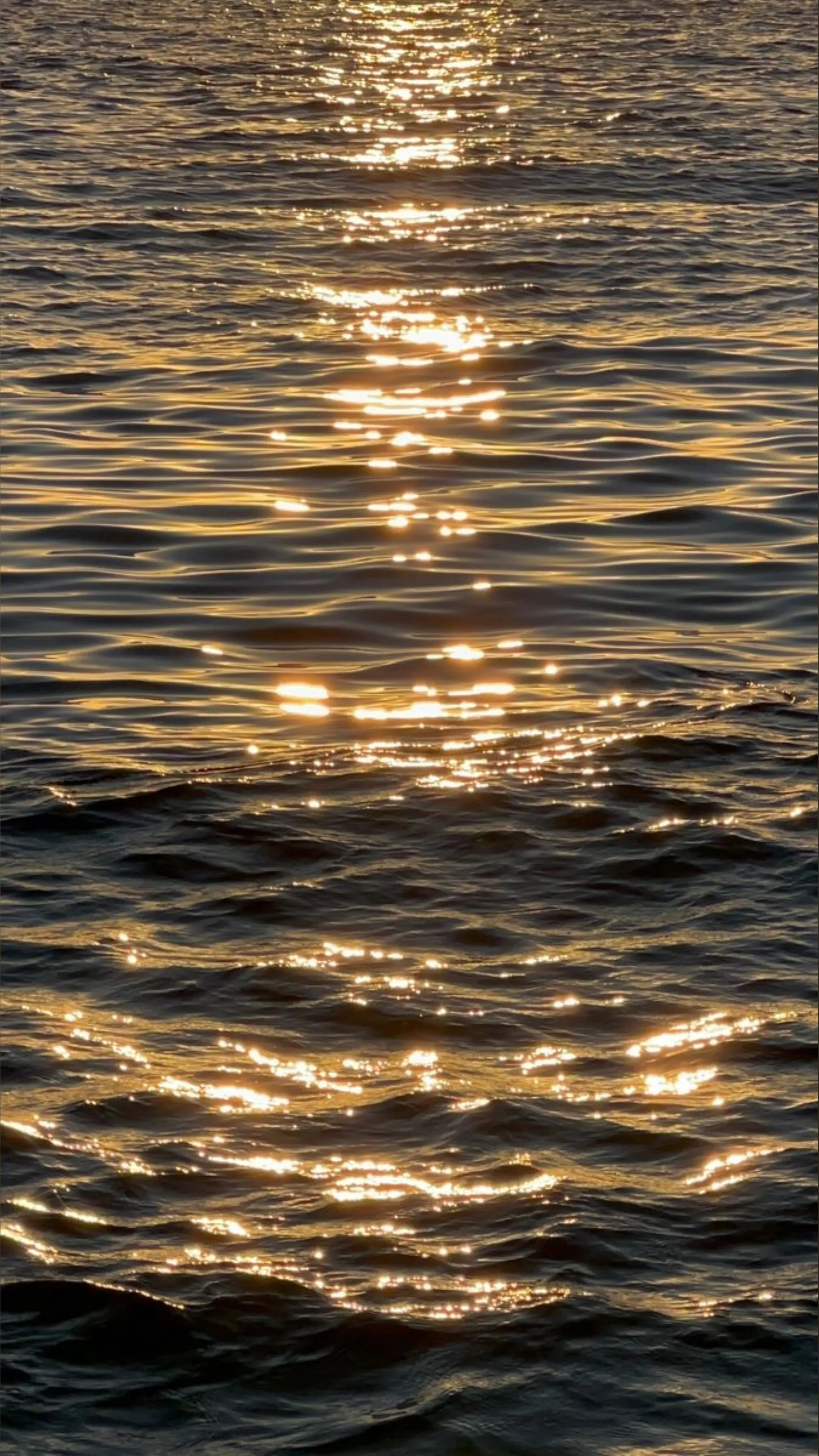 SawasdeeLydia🙏🏼 OnlyFans header