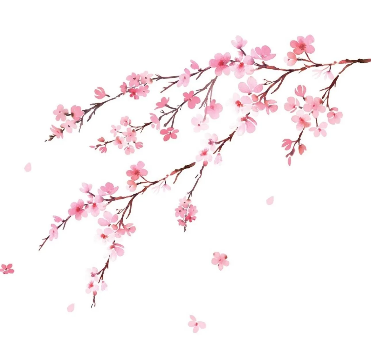 SecretBNM OnlyFans header