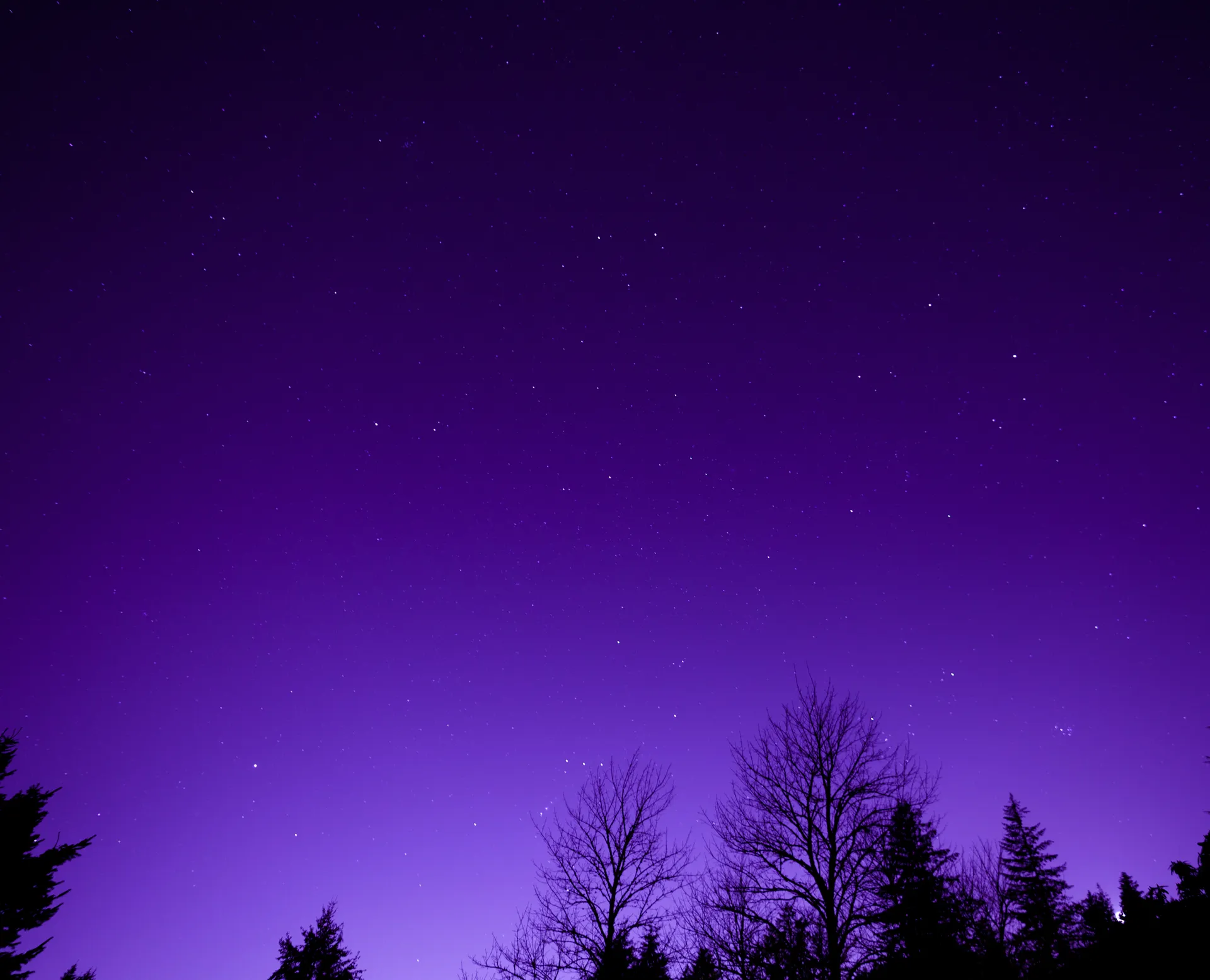 Lumi OnlyFans header