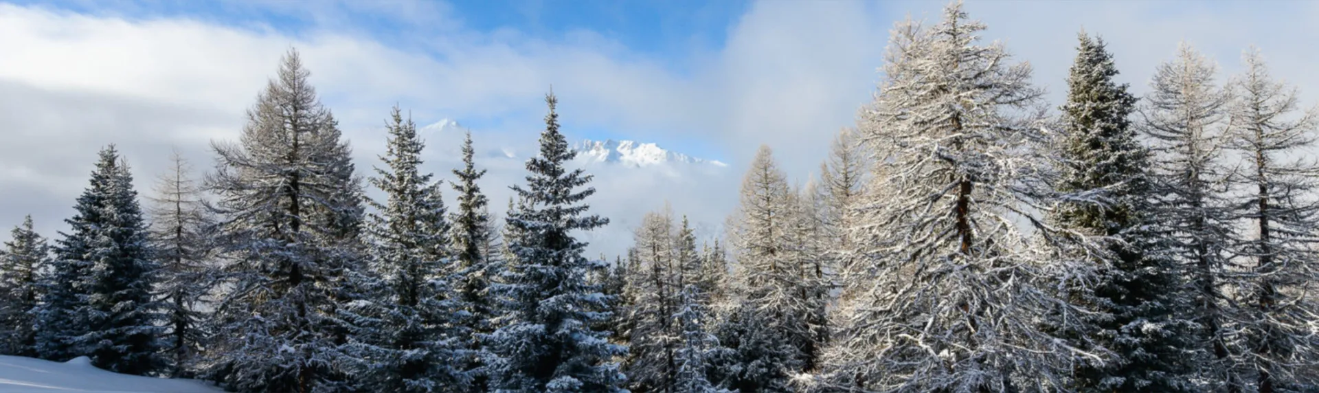 sera OnlyFans header