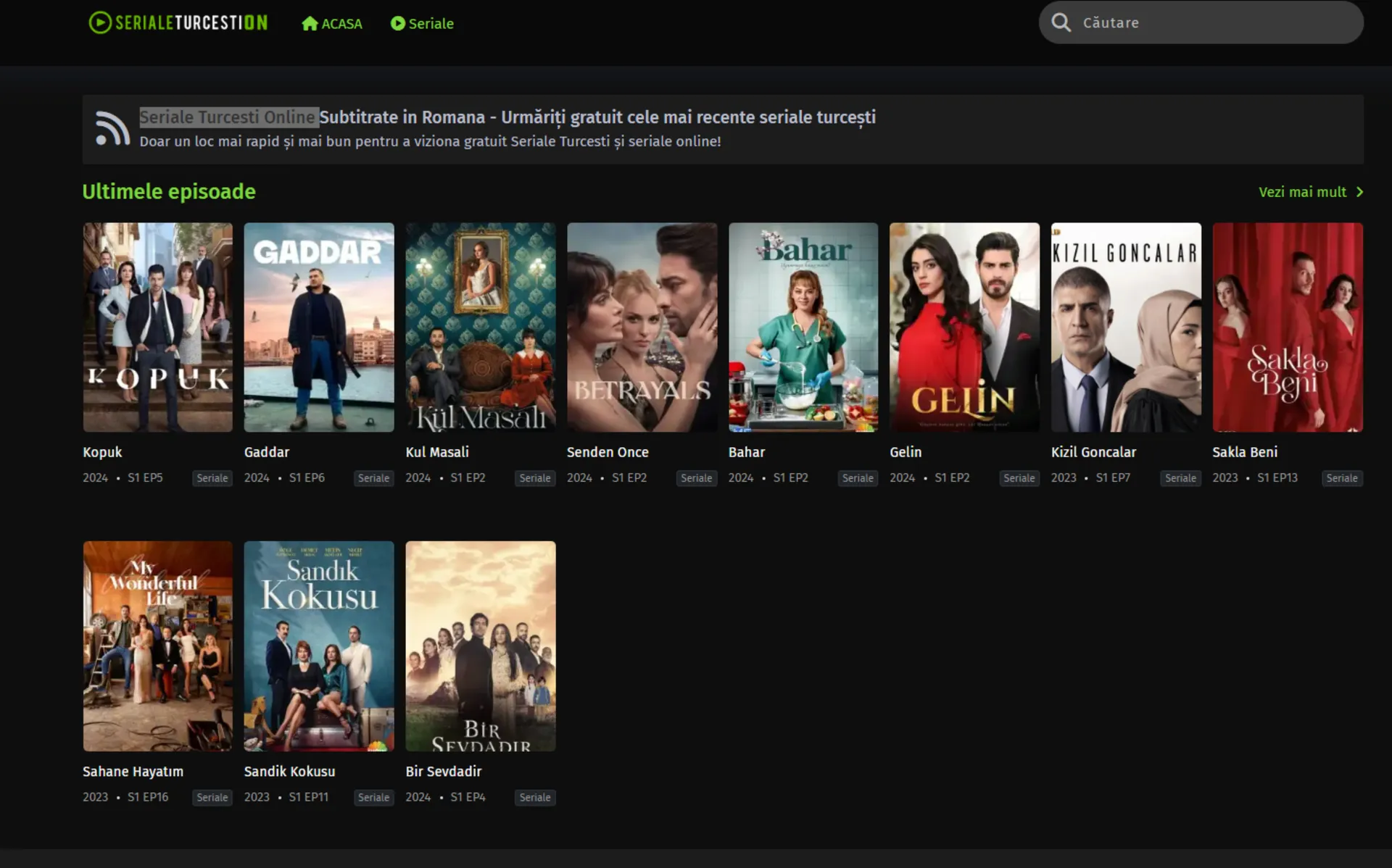Seriale Turcesti OnlyFans header