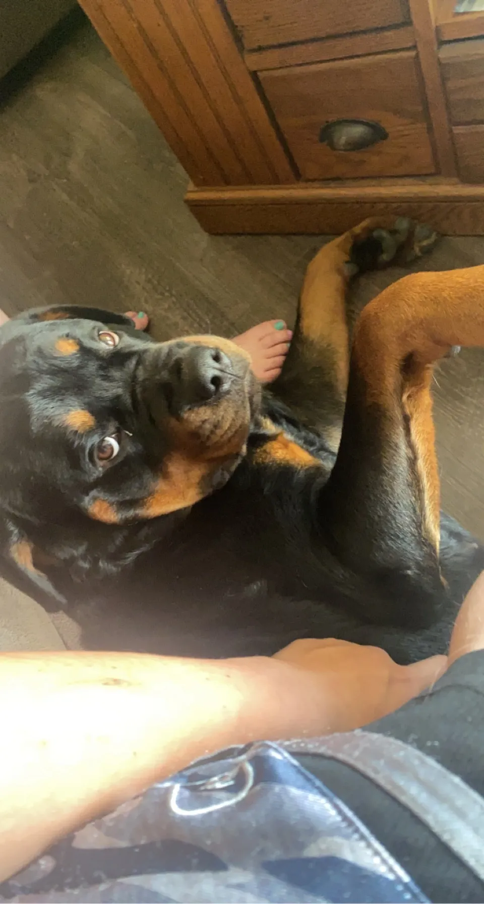 Sexymaster420 OnlyFans header