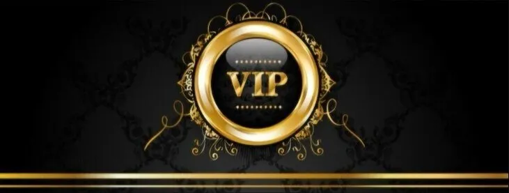 ༄𝓥𝓲𝓴𝔂 𝐕𝔦ᵖ 👑 OnlyFans header