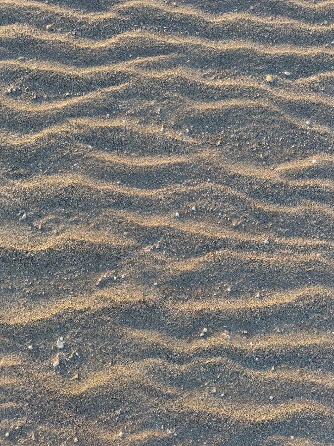 SheenaShaw OnlyFans header