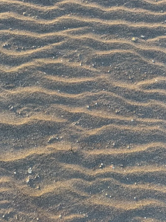 SheenaShaw OnlyFans header