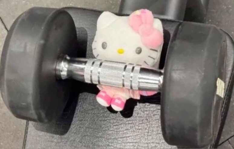 Shefine  ˚₊♡ OnlyFans header