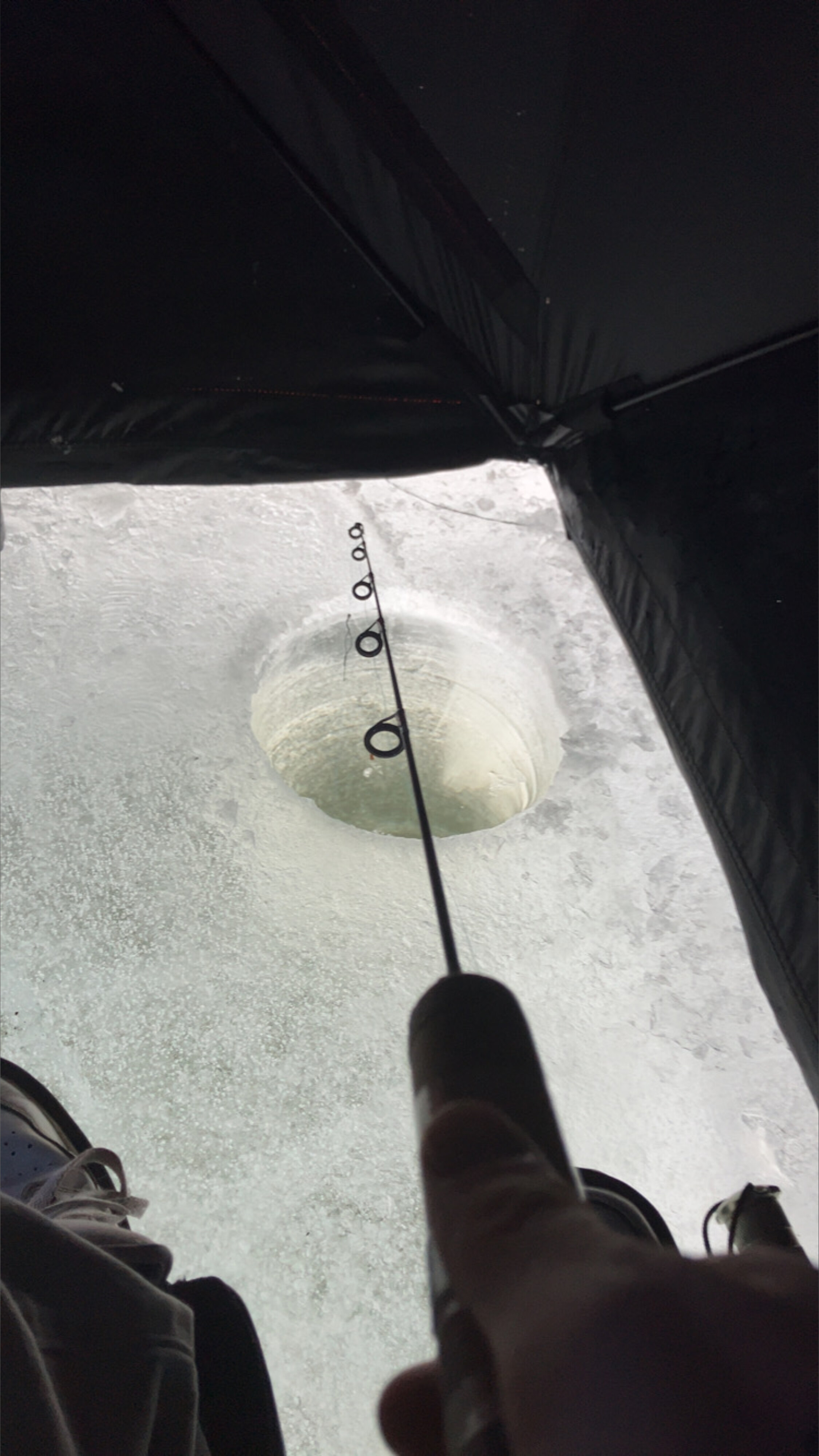 Couples10 OnlyFans header