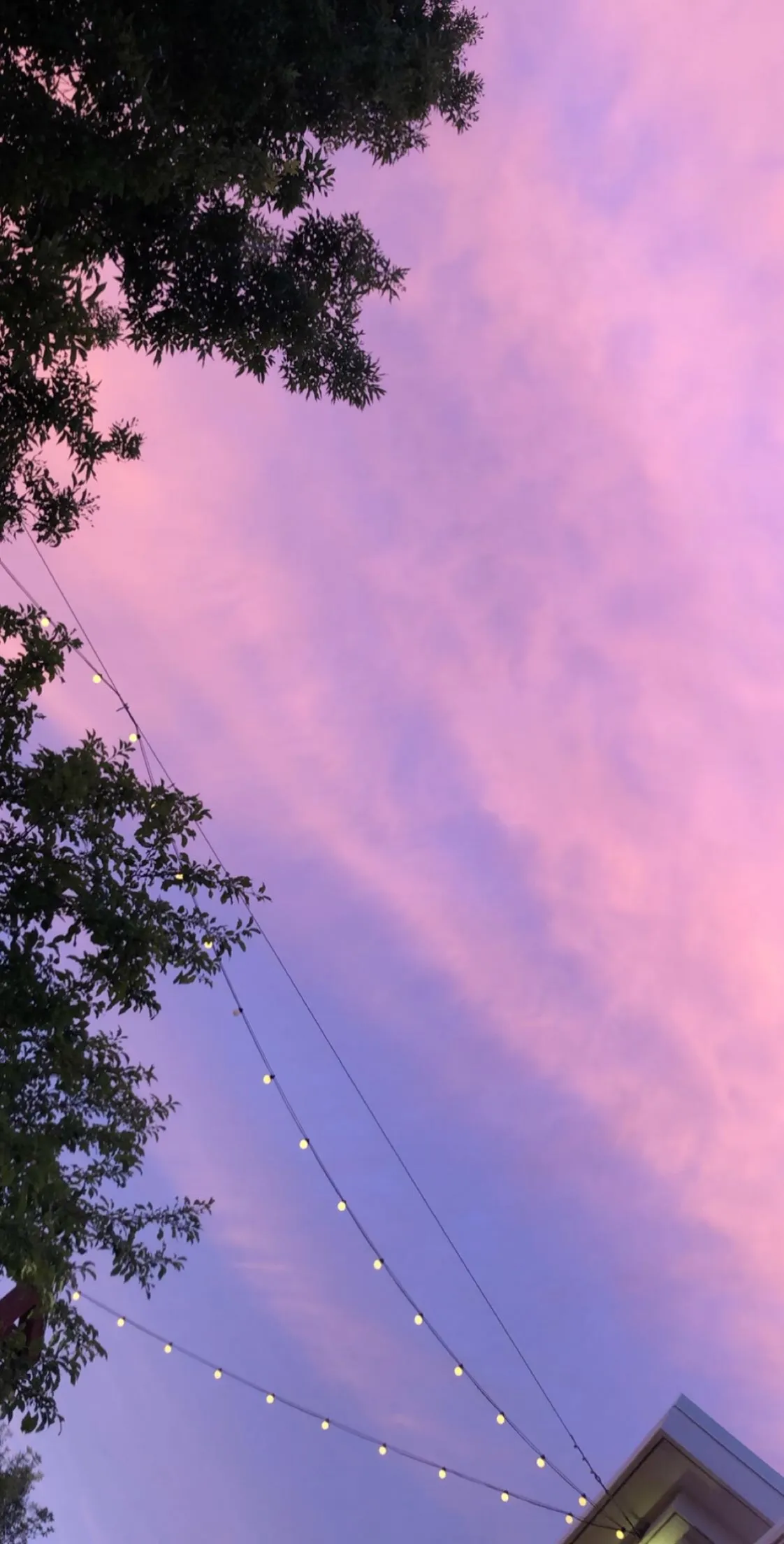 sierrarain🦋 OnlyFans header