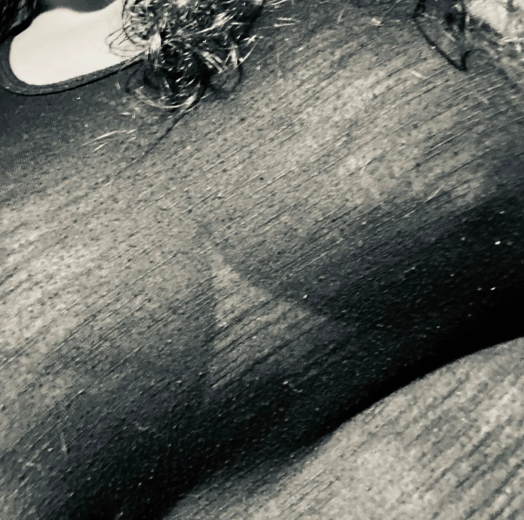 Sissy OnlyFans header