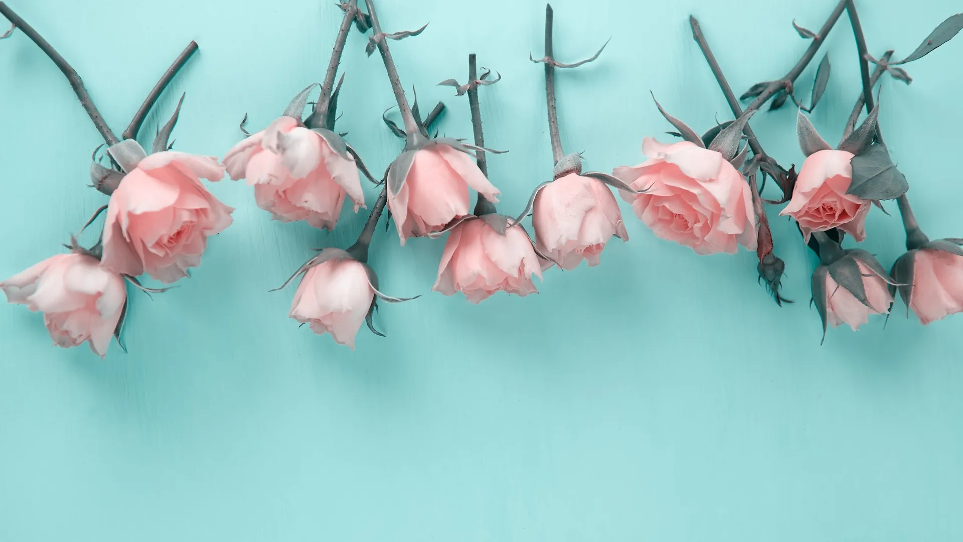 Skyler Lo OnlyFans header