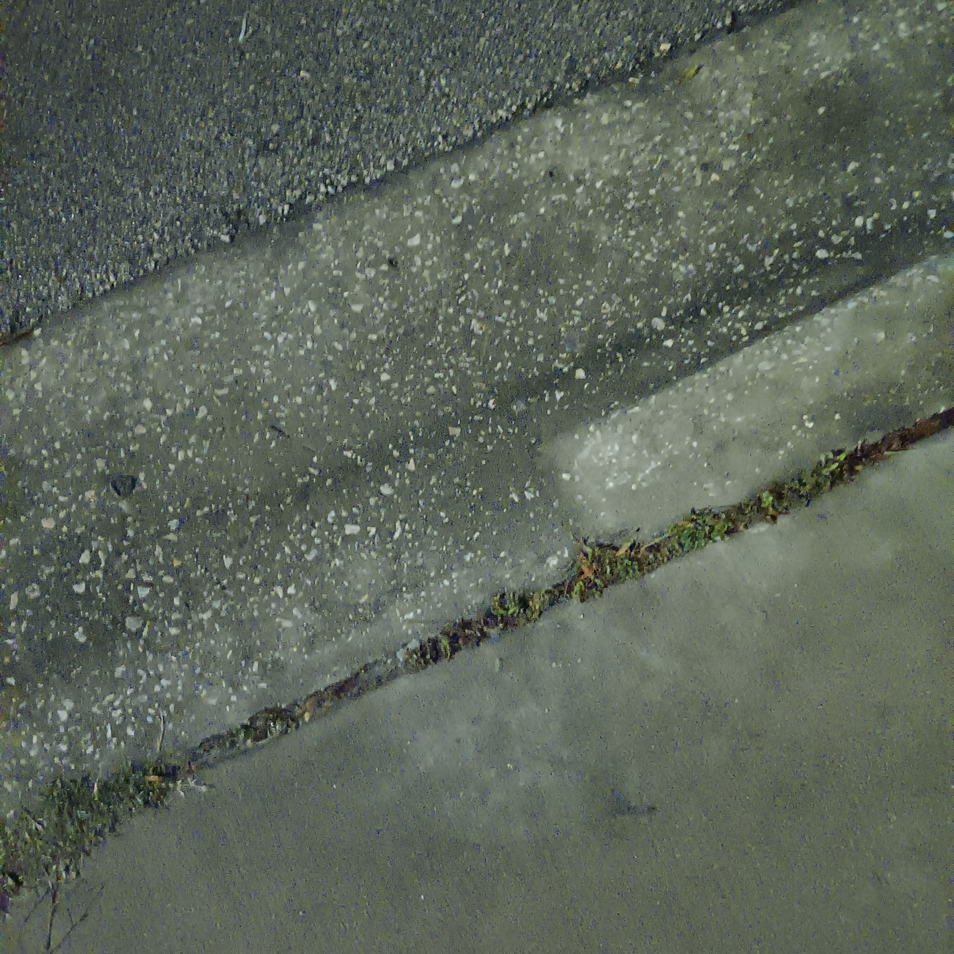 Mika The Trans Snowbunny Streetwalker OnlyFans header