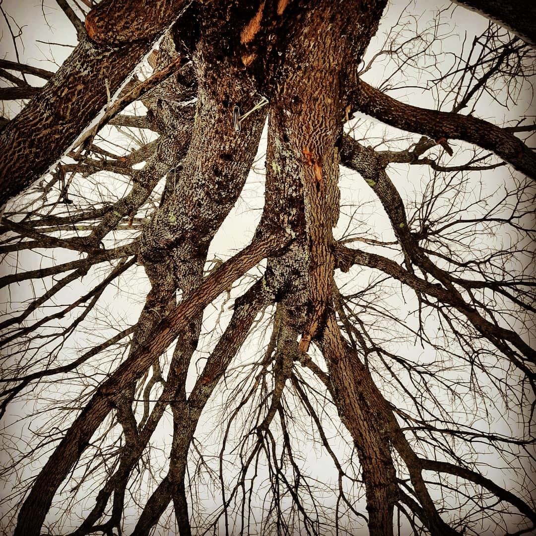 Soli T OnlyFans header