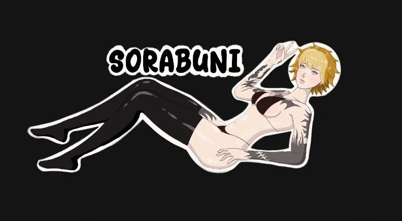 sora ⊹BDAY FEB 21ST⊹ OnlyFans header