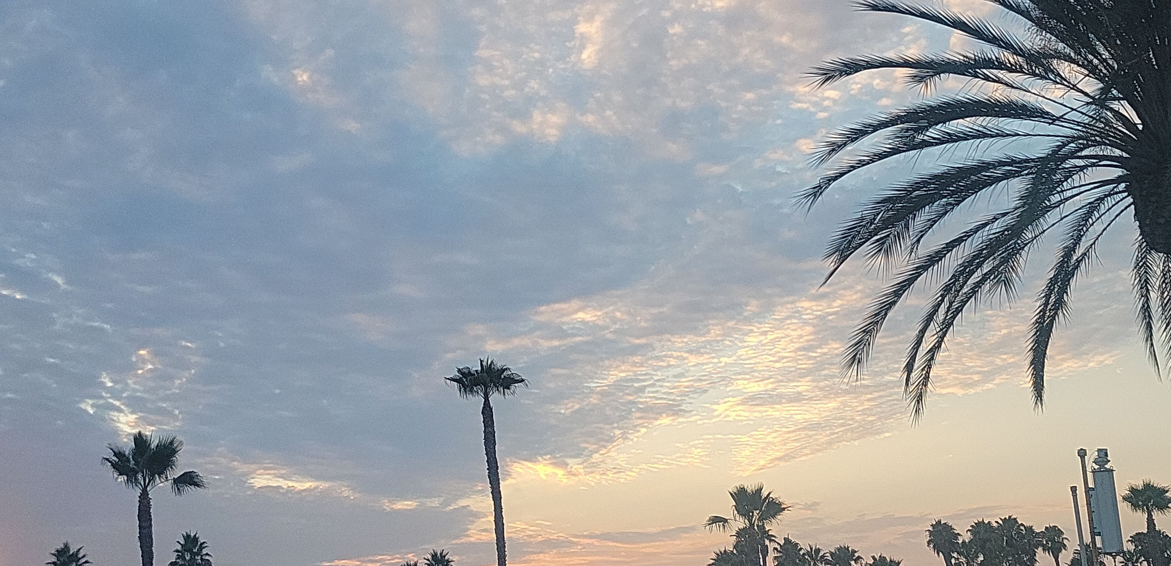 Spicy Violet OnlyFans header