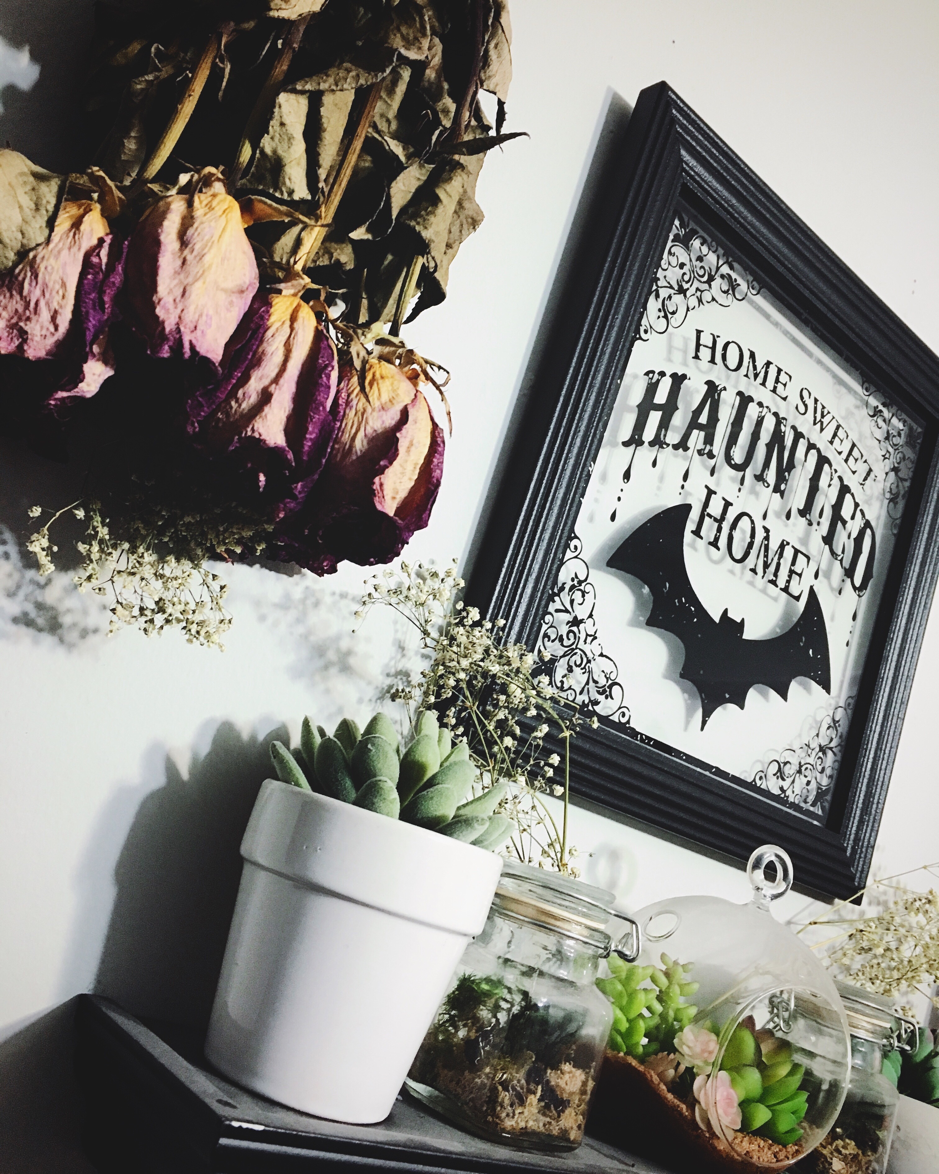 Stacey ♡ OnlyFans header