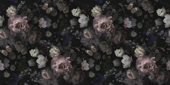 SSBBW Sasha OnlyFans header