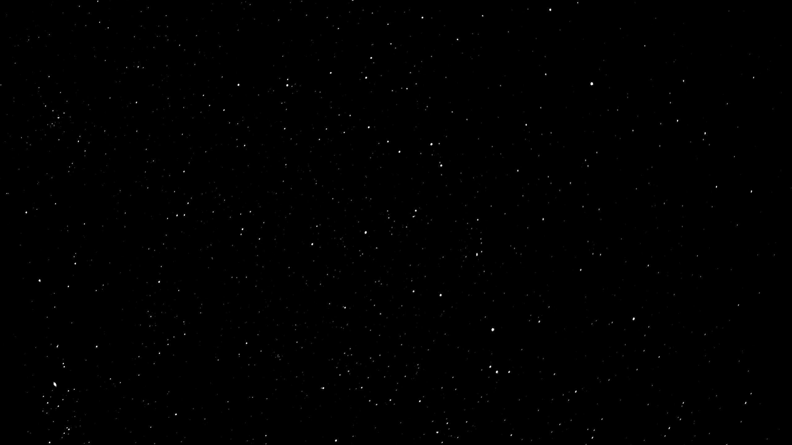 Wynton OnlyFans header