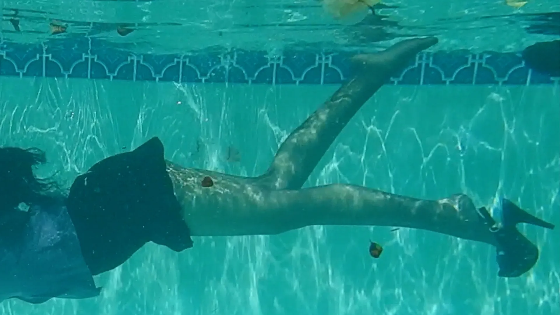 Stella Aeternum OnlyFans header