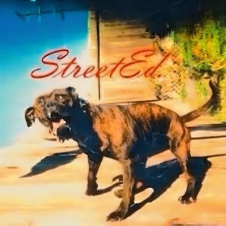 𝕾𝖙𝖗𝖊𝖊𝖙 𝕰𝖉 OnlyFans