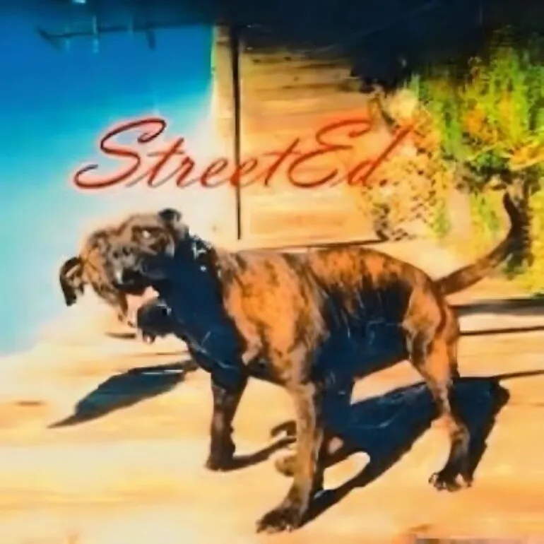 𝕾𝖙𝖗𝖊𝖊𝖙 𝕰𝖉