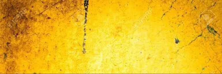 𝕾𝖙𝖗𝖊𝖊𝖙 𝕰𝖉 OnlyFans header