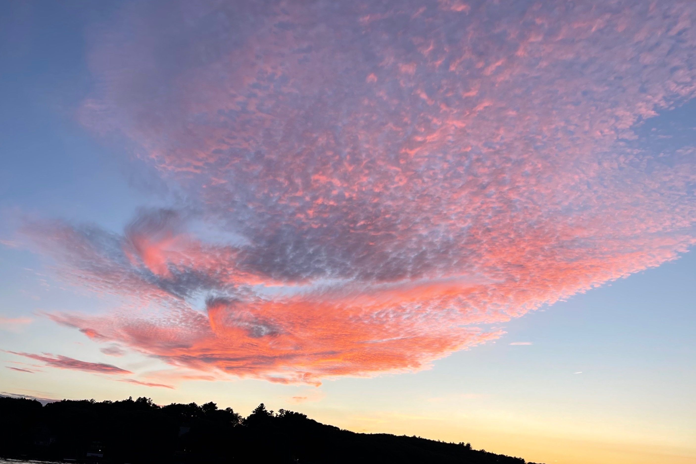 FreakyFit OnlyFans header