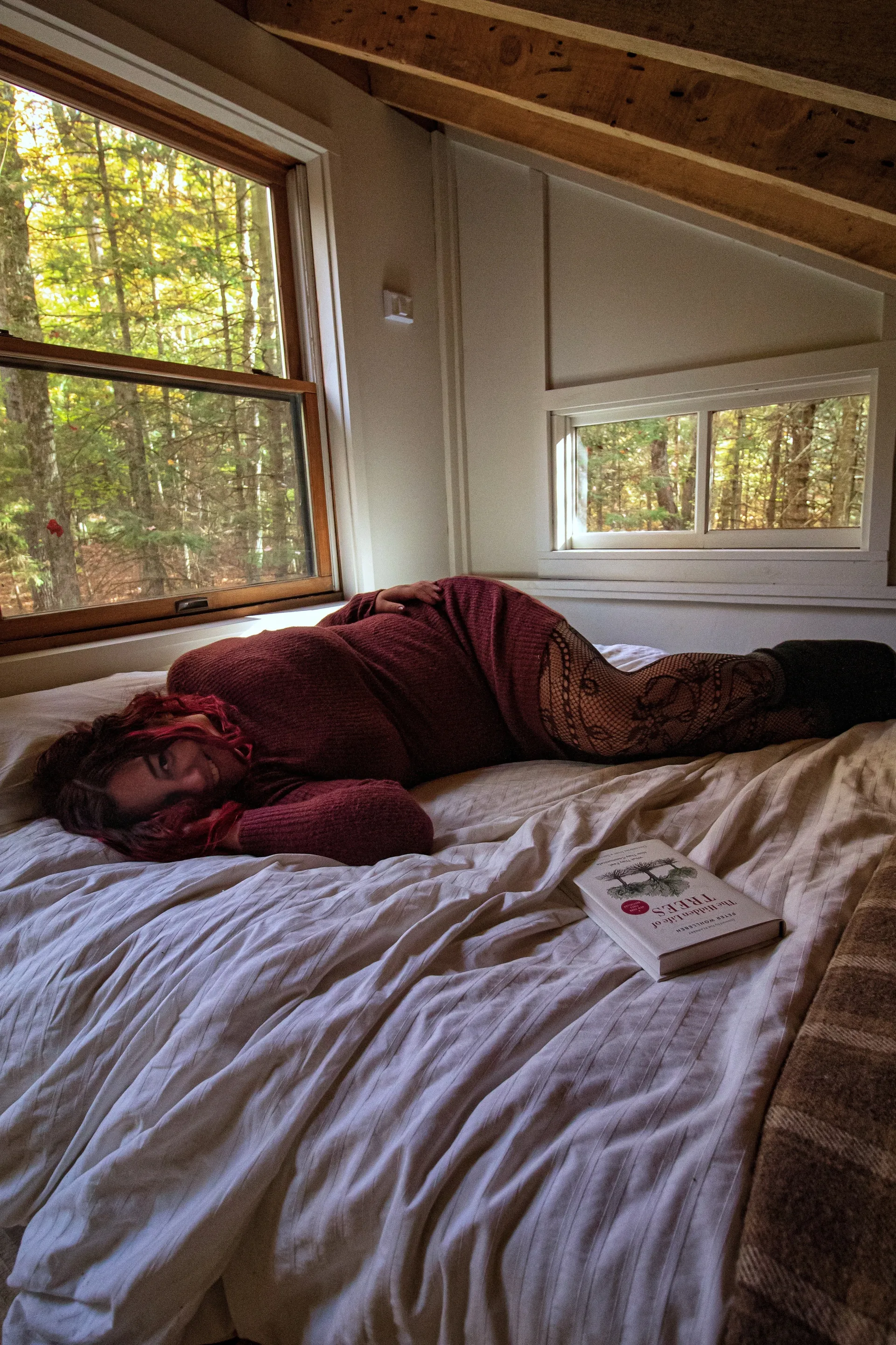 SugarBellz + OnlyFans header