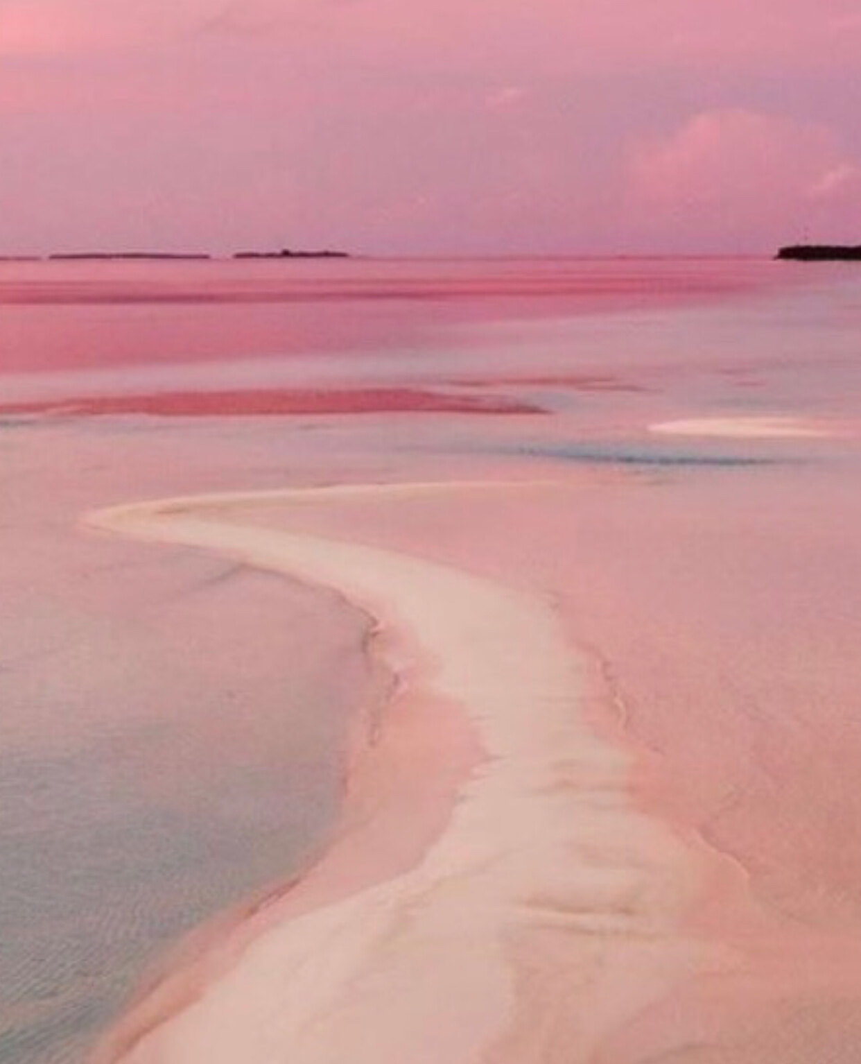 Reeece OnlyFans header