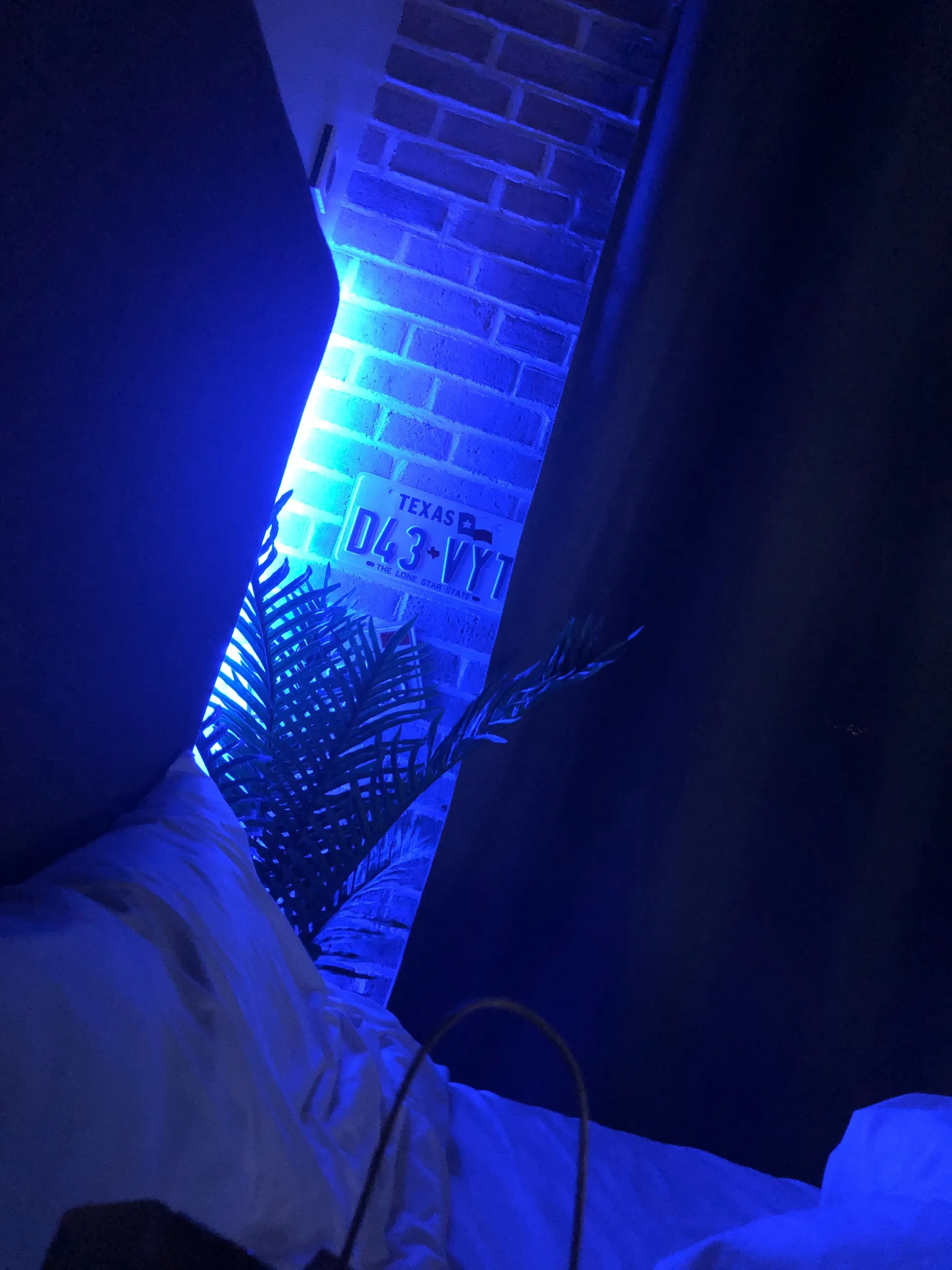 K OnlyFans header