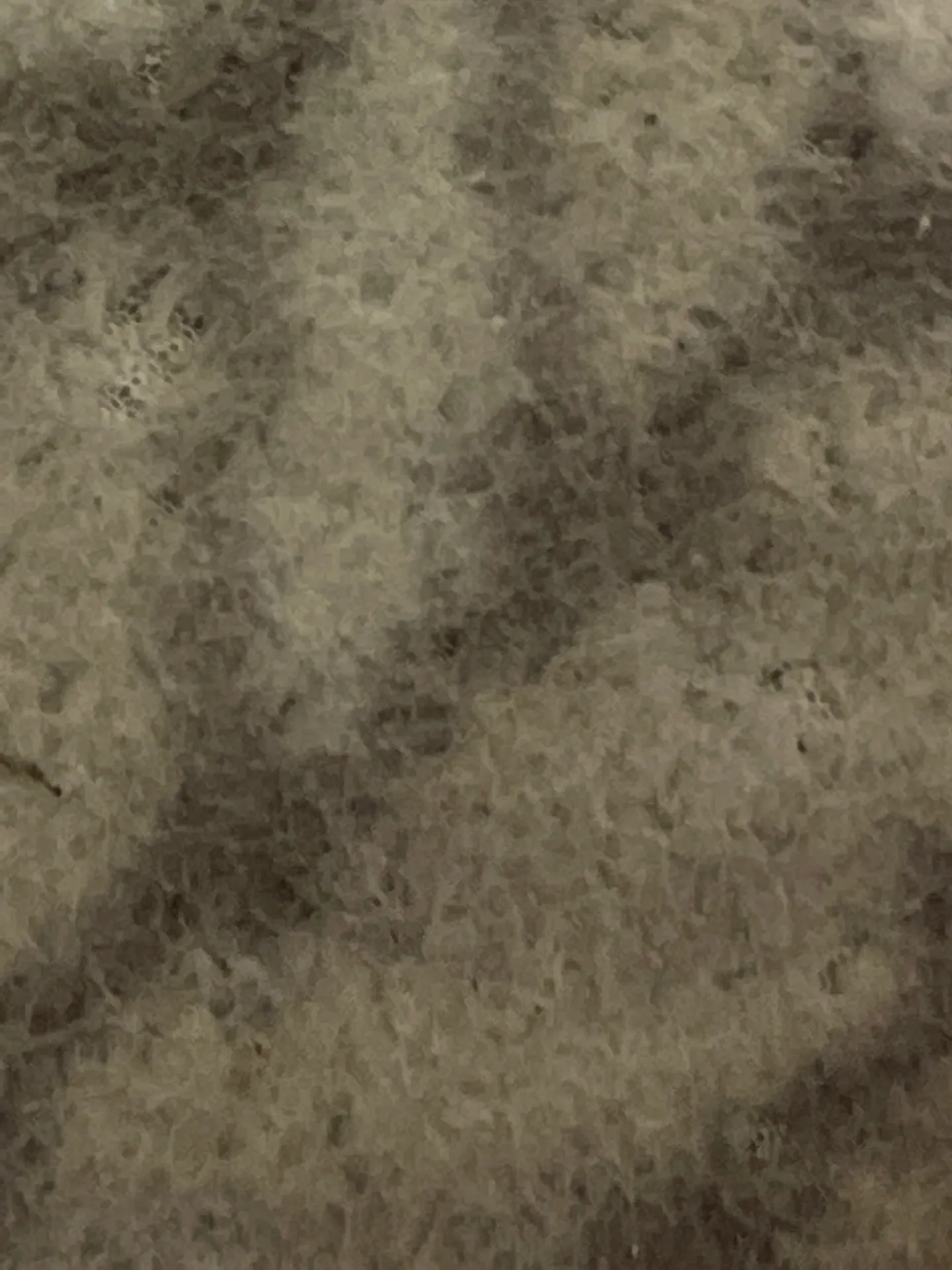 Sweet Peach OnlyFans header