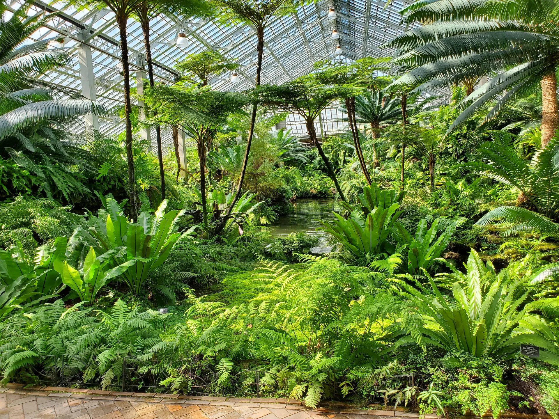 Renee OnlyFans header