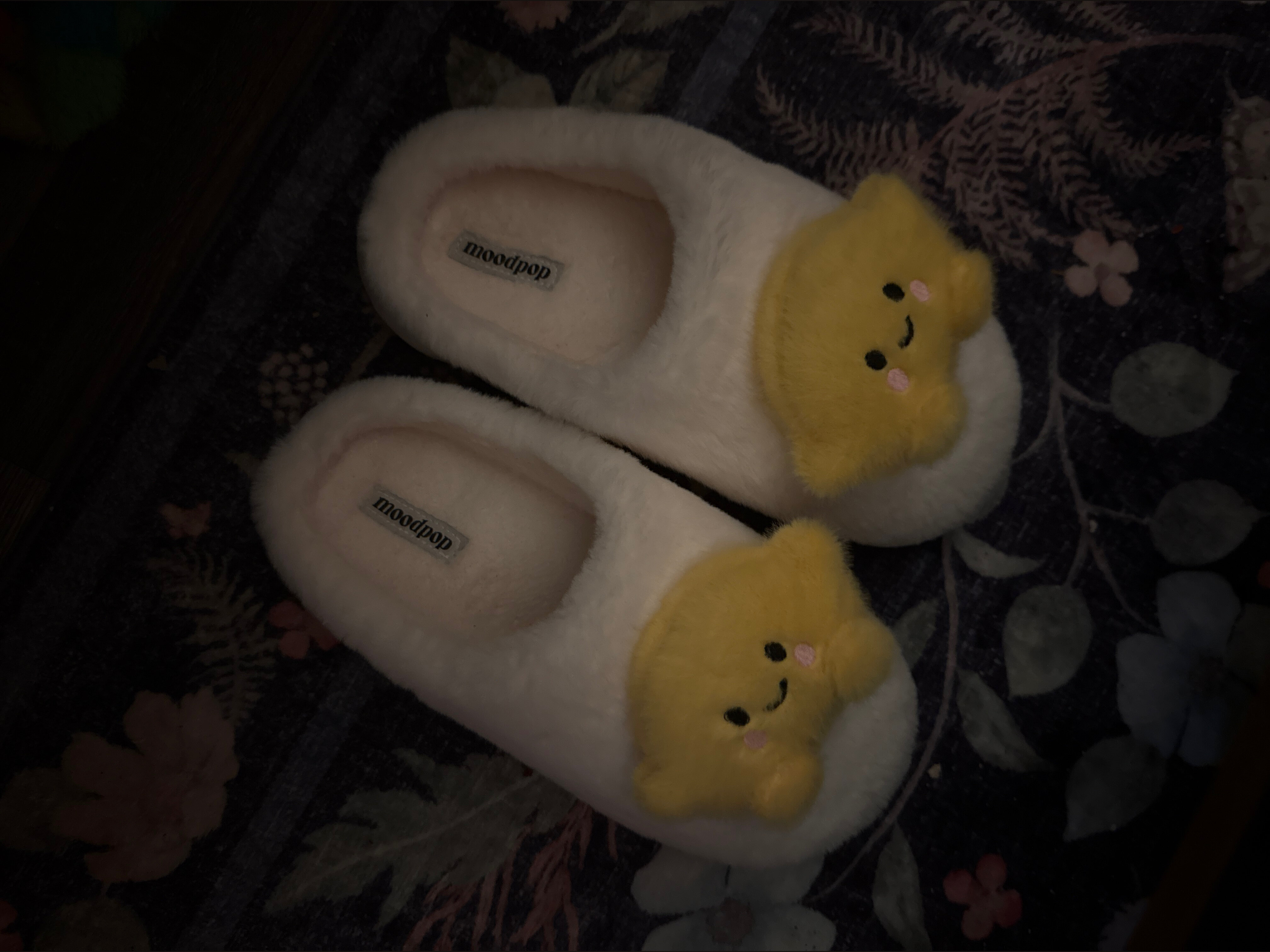 taraa OnlyFans header