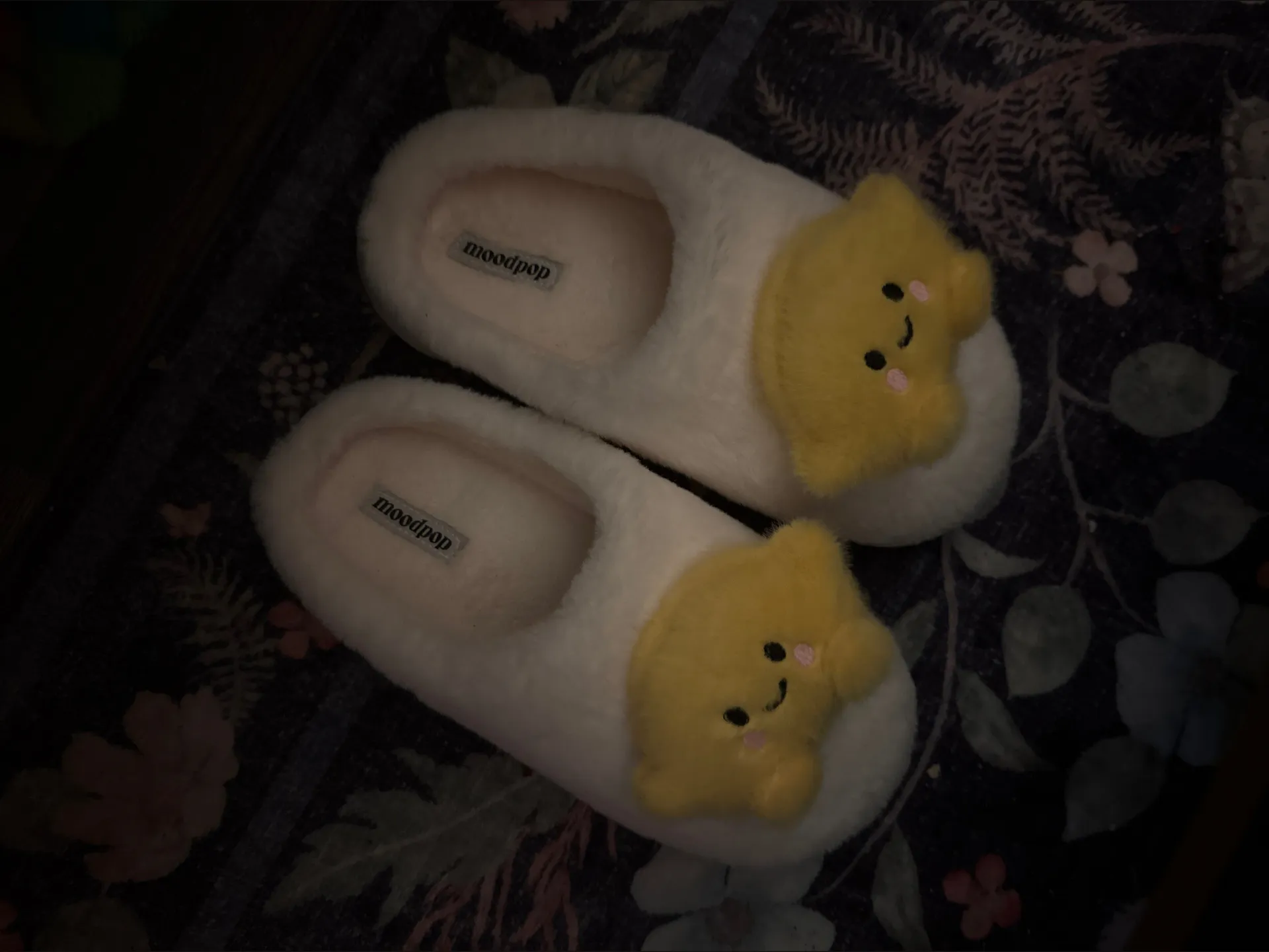 taraa OnlyFans header