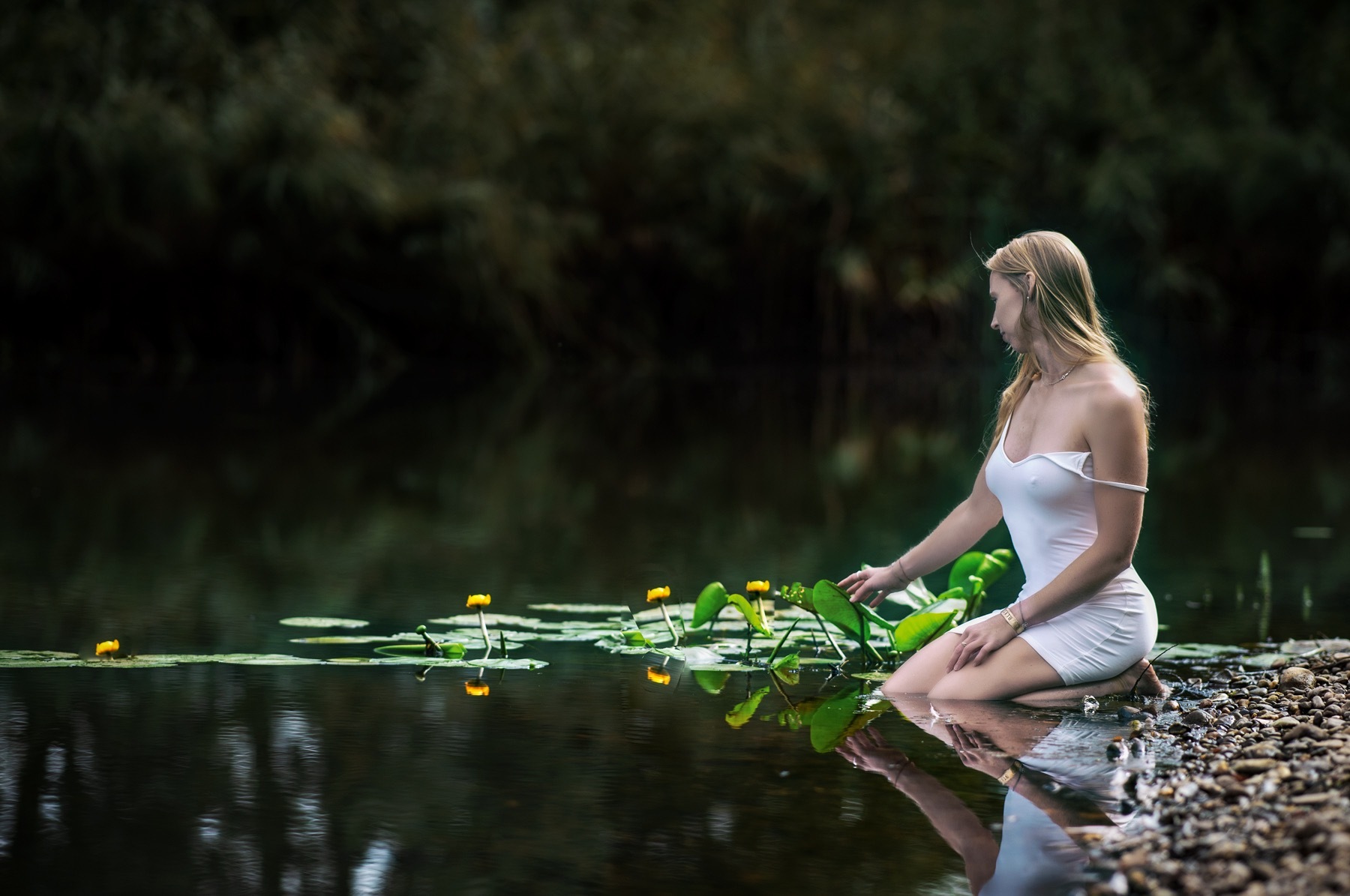 TassieBarbie OnlyFans header