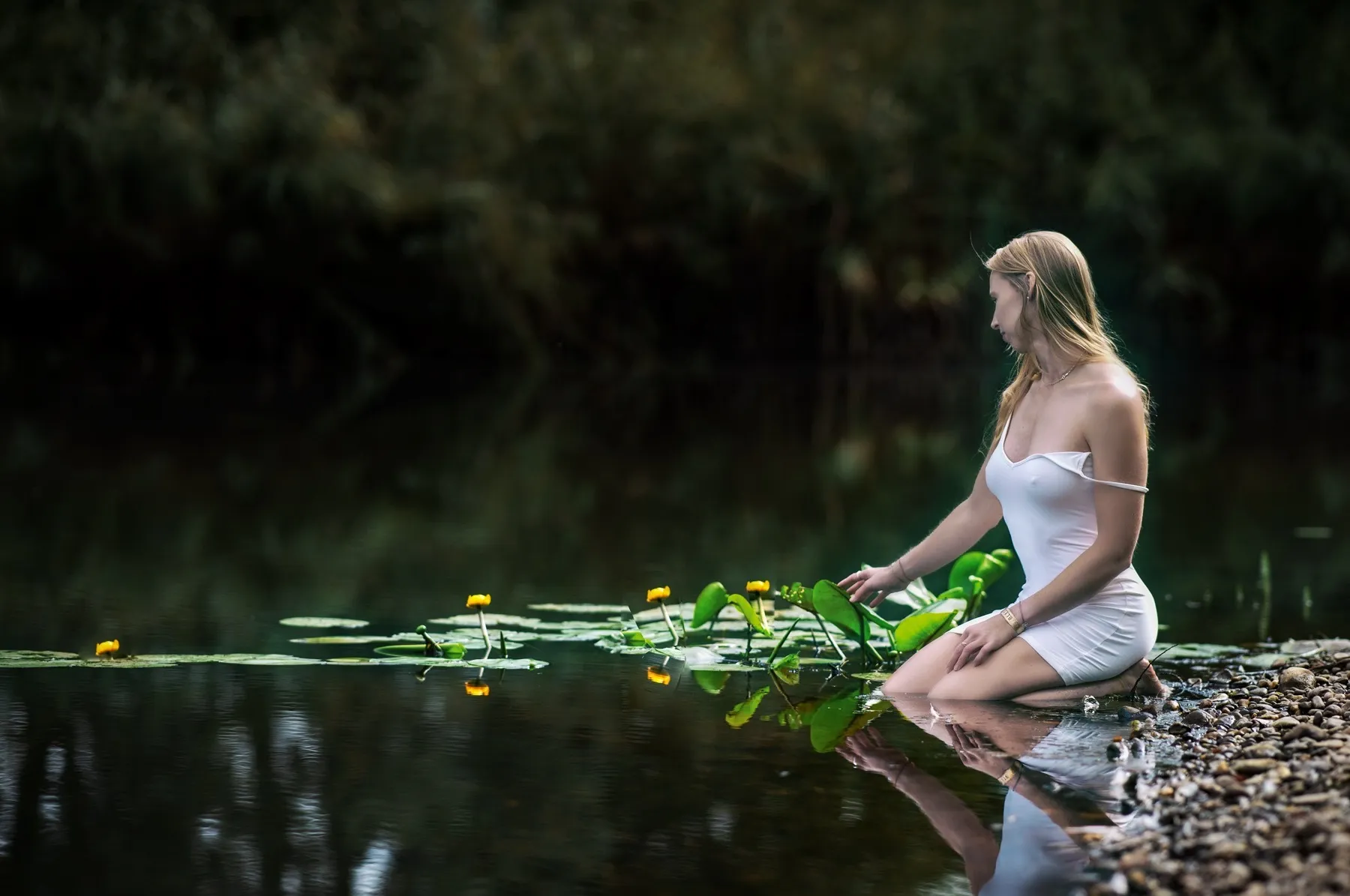 TassieBarbie OnlyFans header