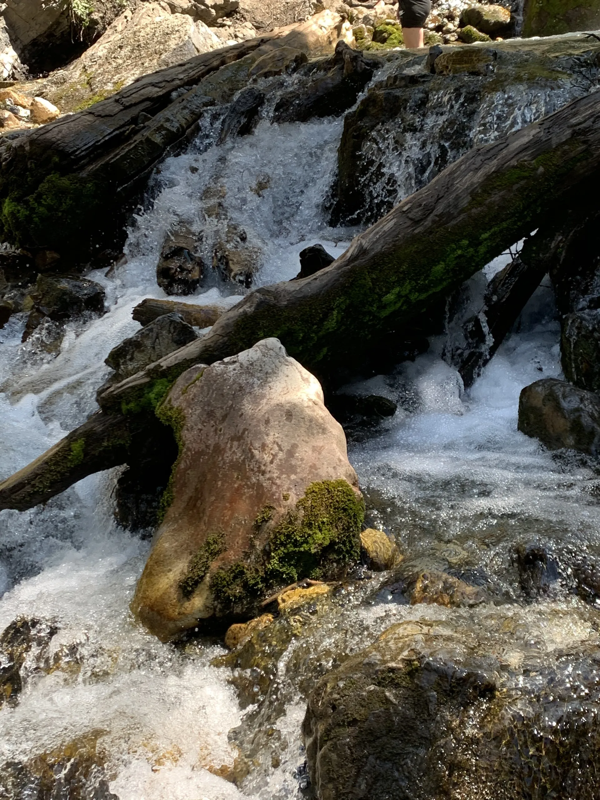 That one guy OnlyFans header