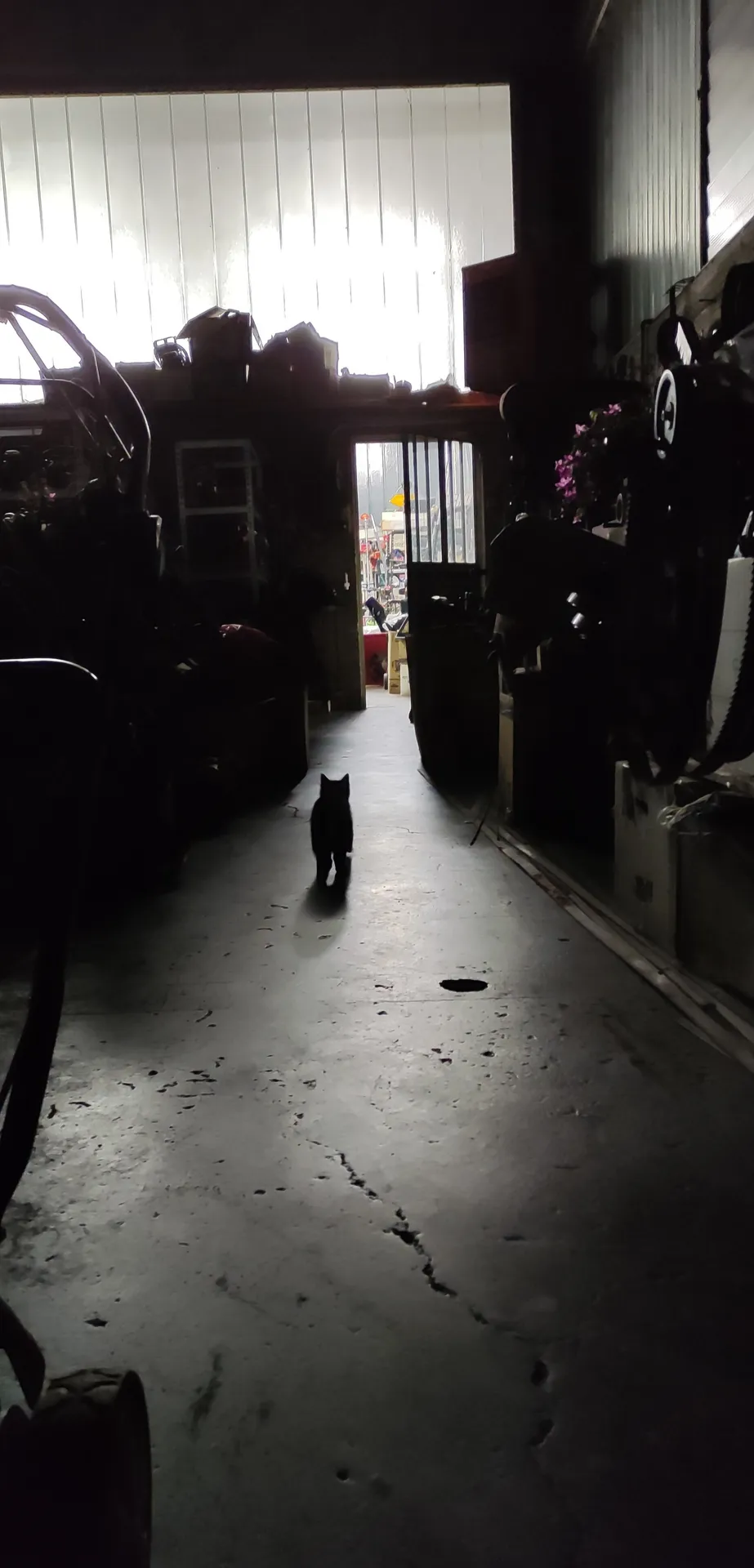 Mechanic Girl OnlyFans header