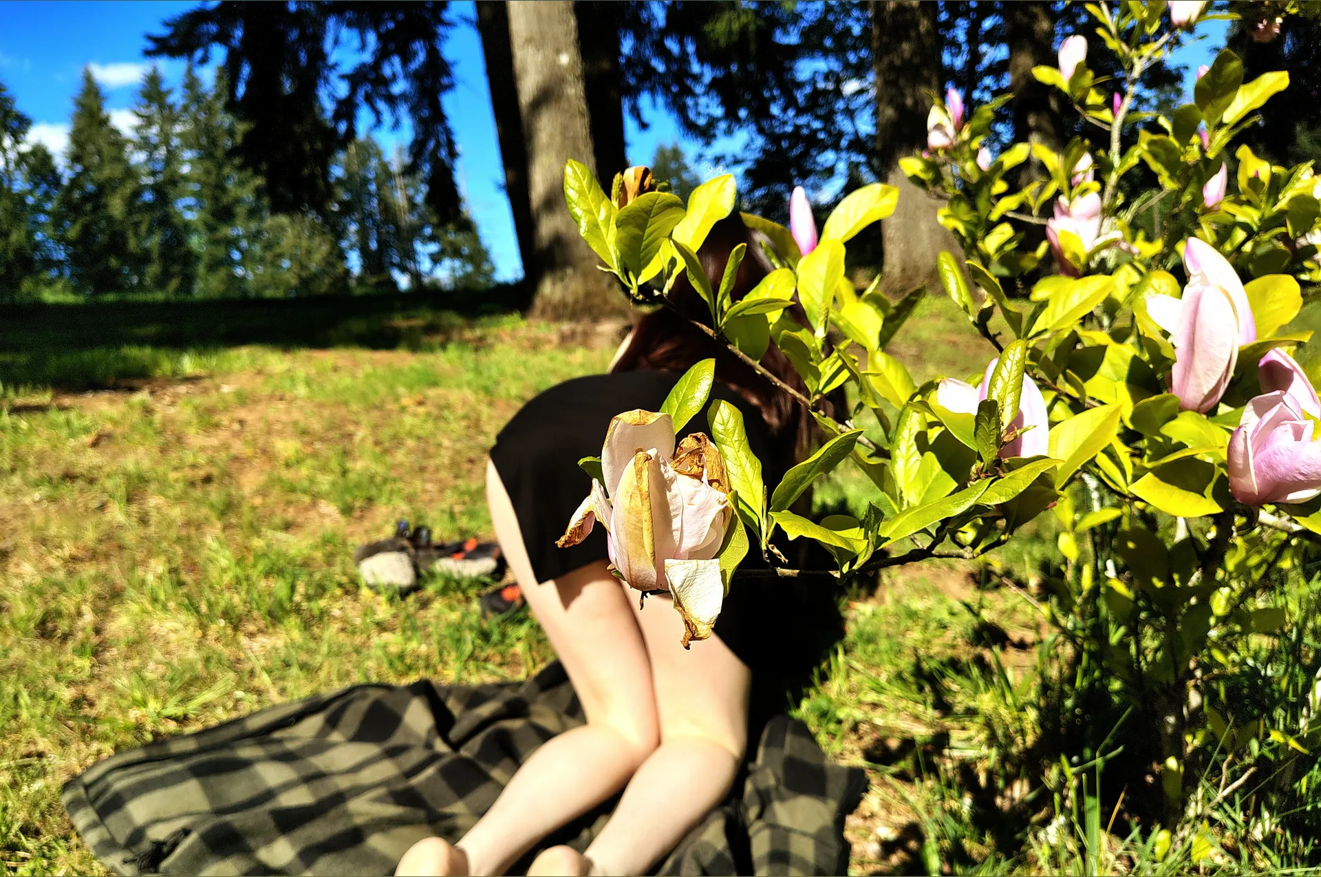 Miss Velvet OnlyFans header