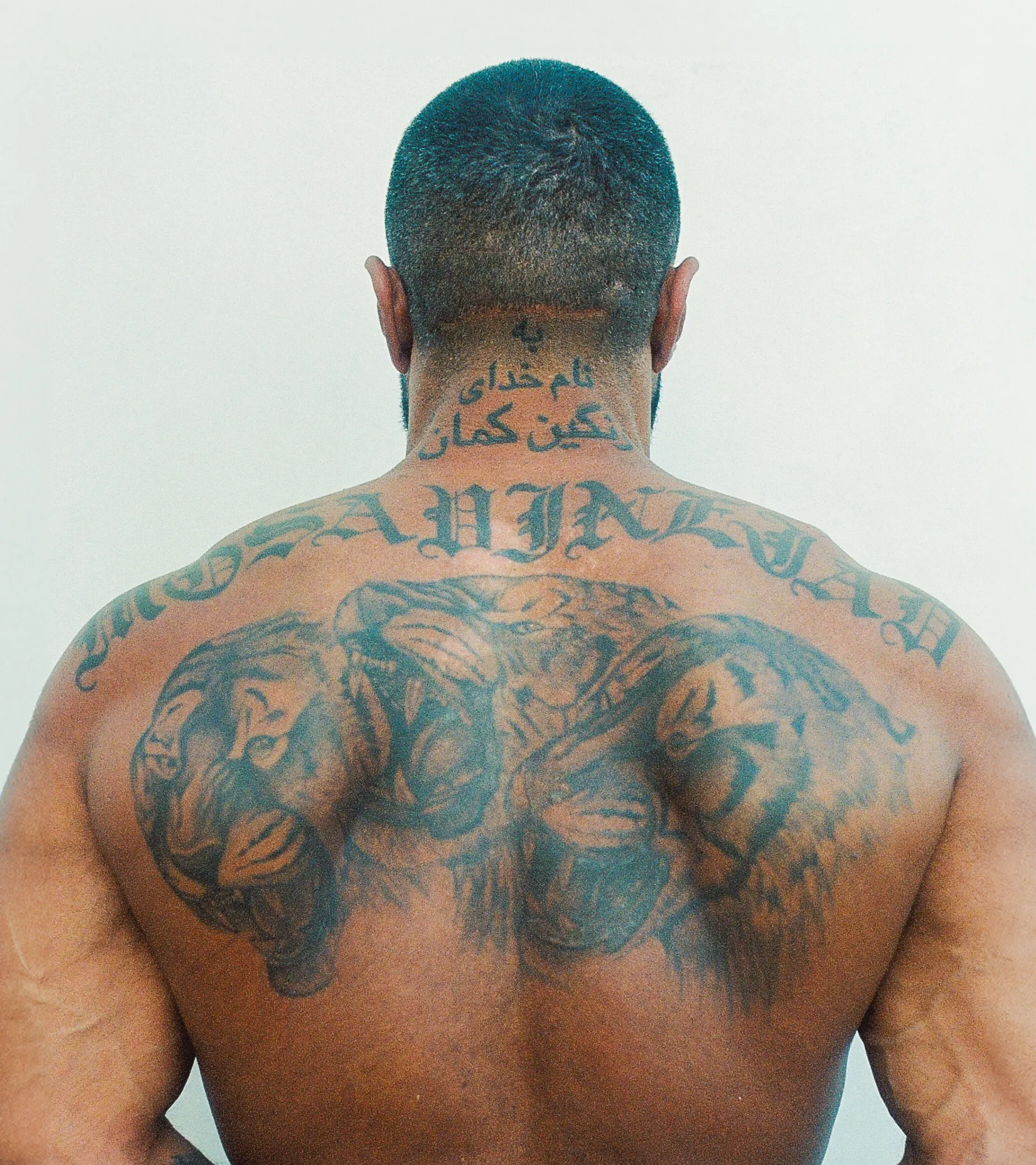 The Sharok OnlyFans header