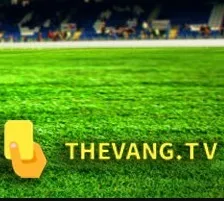 Thevangtv OnlyFans profile picture