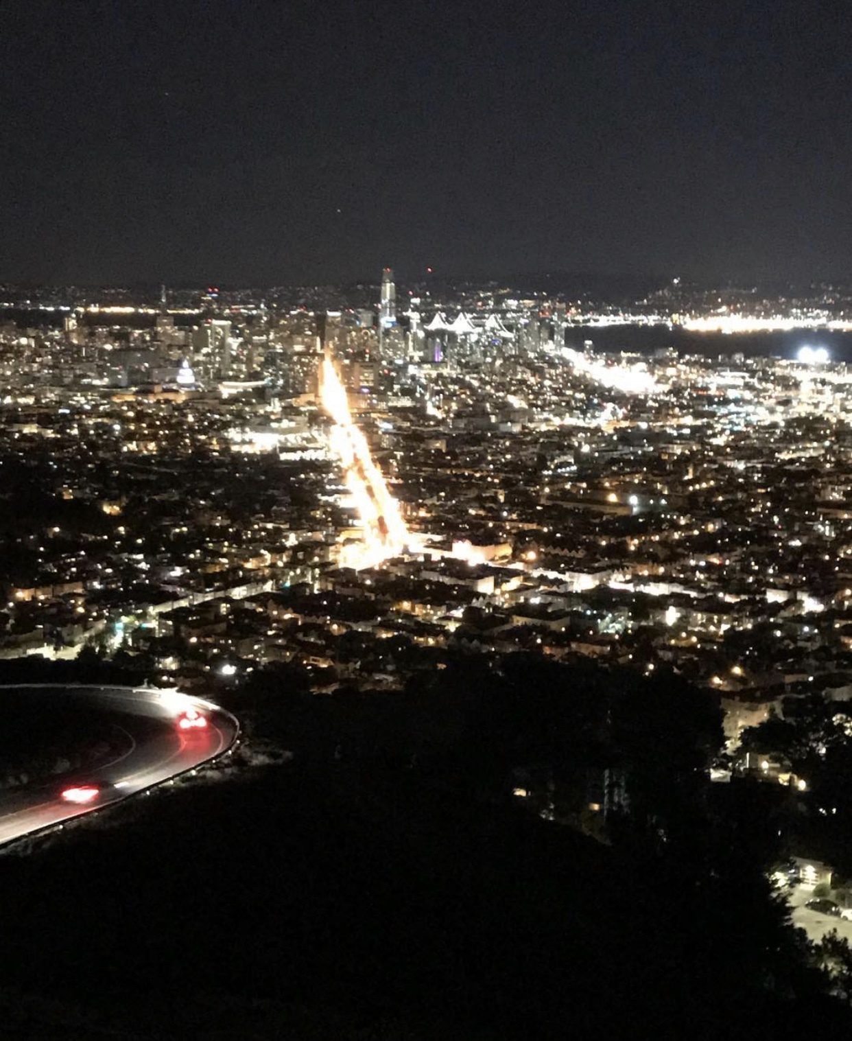 Forest OnlyFans header