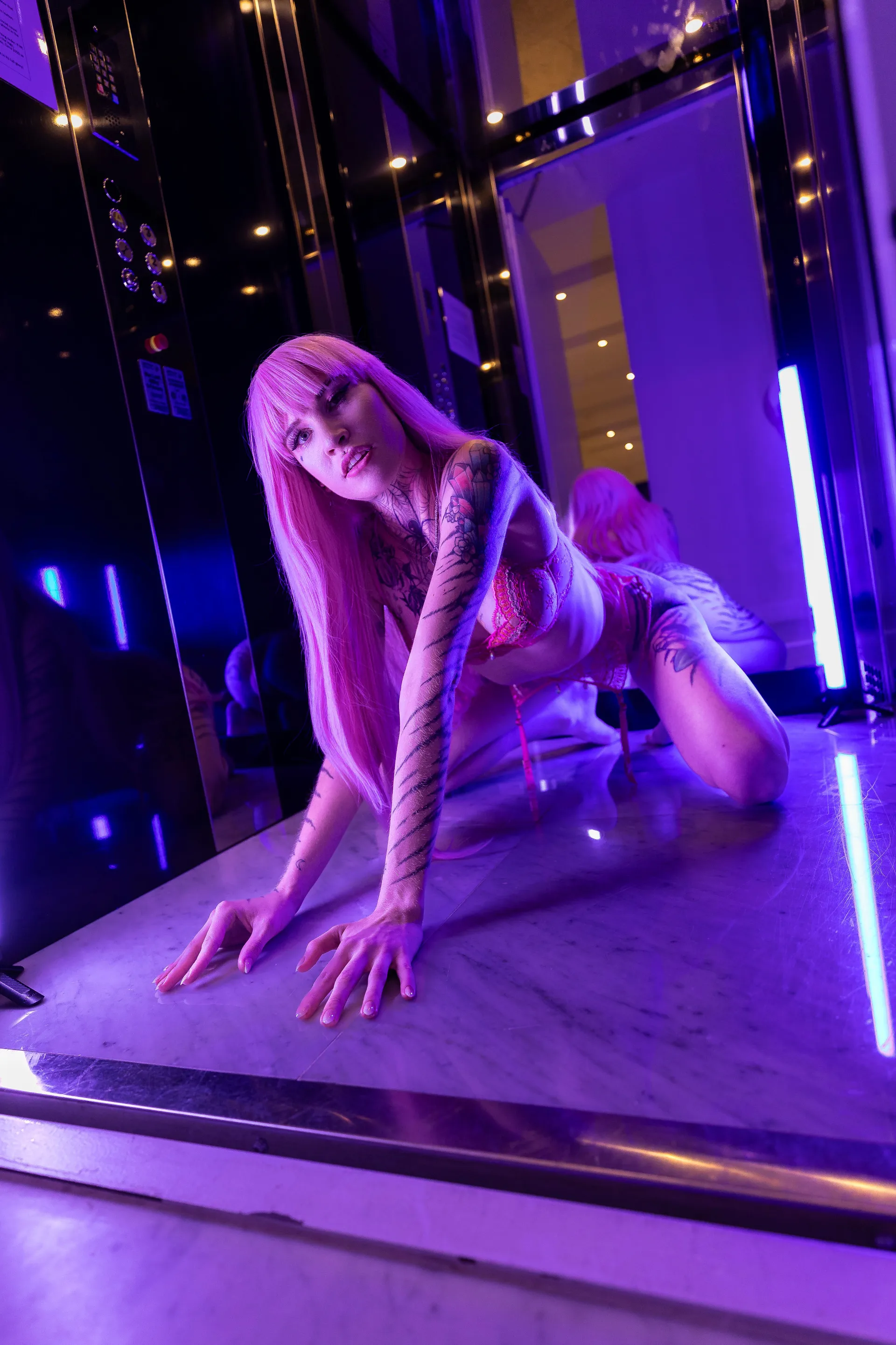 Tiger NO PPV🐯 OnlyFans header